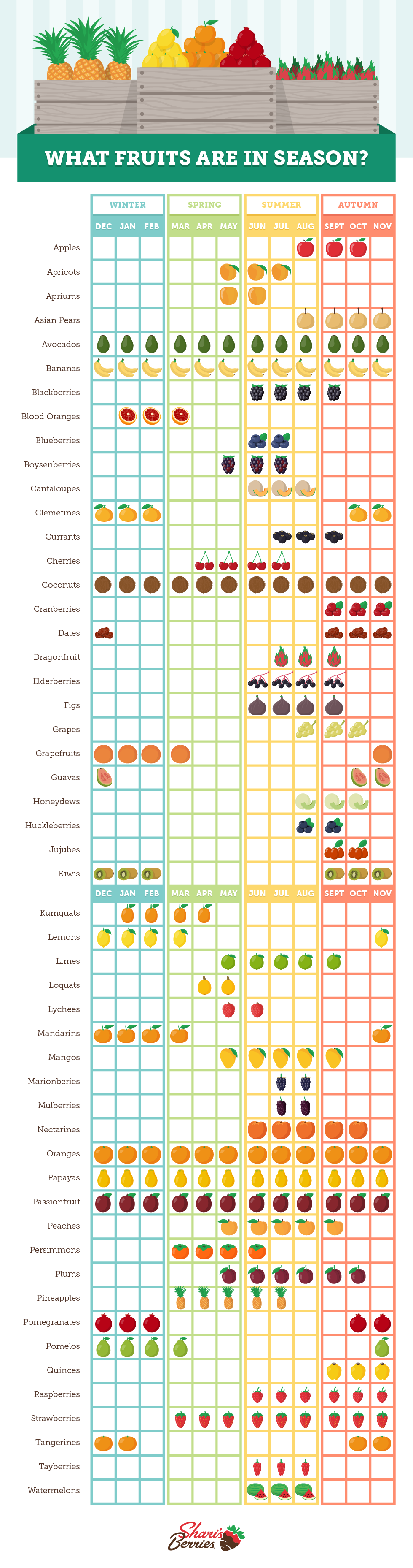 What Fruits Are In Season Easy Reference Chart Shari s Berries