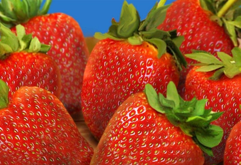 giant coastal strawberries thumbnew