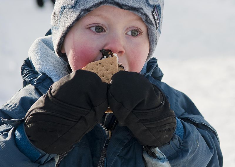 https://www.berries.com/blog/wp content/uploads///kid eating smores via denali national park and preserve