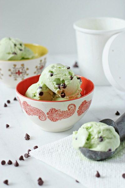 https://www.berries.com/blog/wp content/uploads///Fresh mint chocolate chip ice cream web