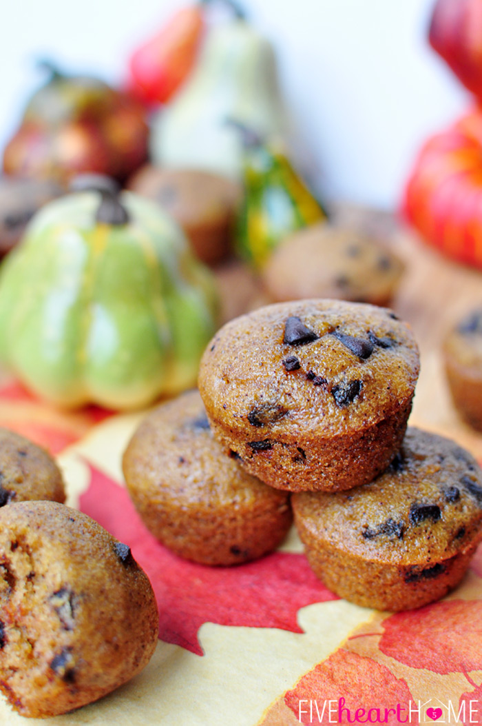 https://www.berries.com/blog/wp content/uploads///The Best Chocolate Chip Pumpkin Bread or Muffins by Five Heart Home px Trio