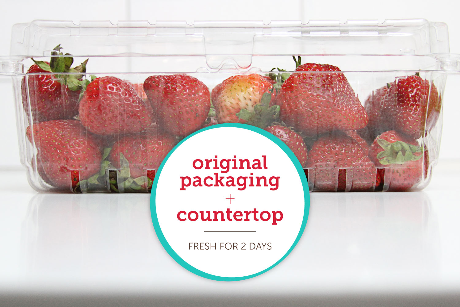 https://www.berries.com/blog/wp content/uploads///Strawberry storage countertop V