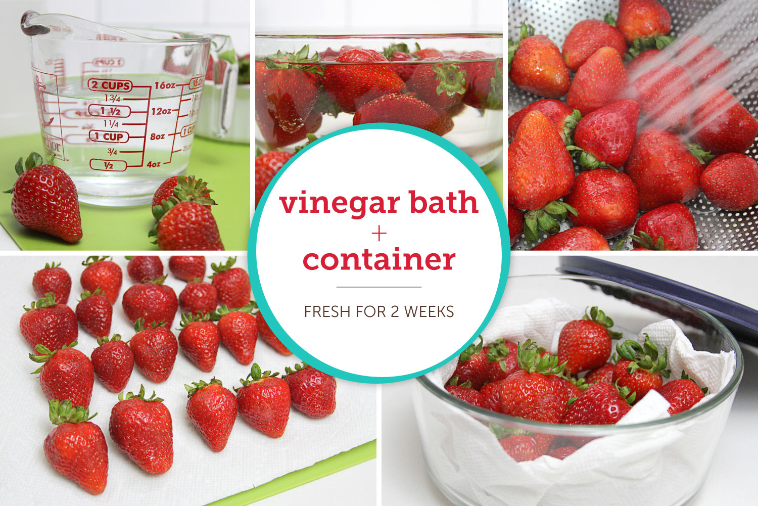 How to Store Strawberries & Keep Them Fresh- Shari's Berries Blog