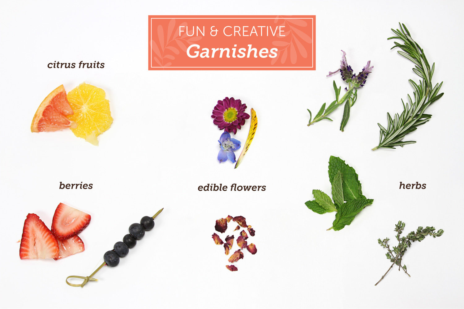 https://www.berries.com/blog/wp content/uploads///mimosa bar garnishes e