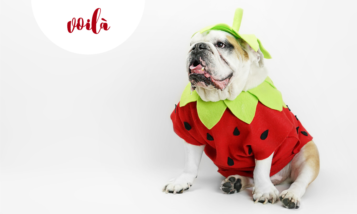 DIY Strawberry Costumes for the Whole Family