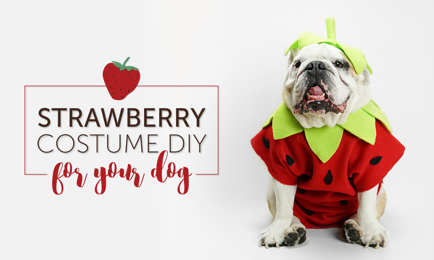 DIY Strawberry Costumes for the Whole Family