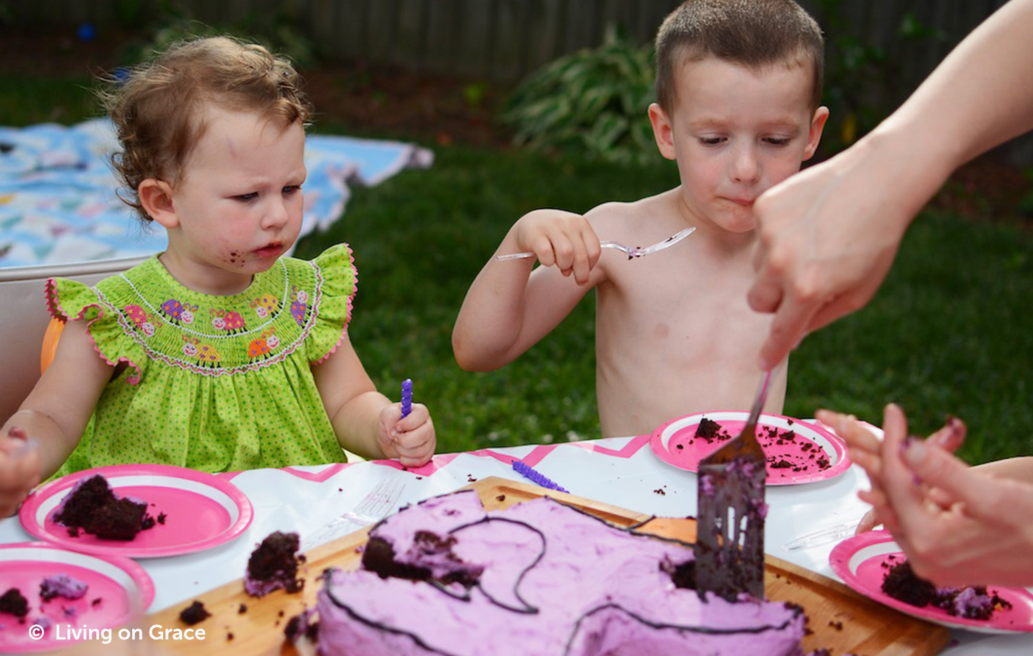 https://www.berries.com/blog/wp content/uploads///PURPLE CAKE Birthday Traditions