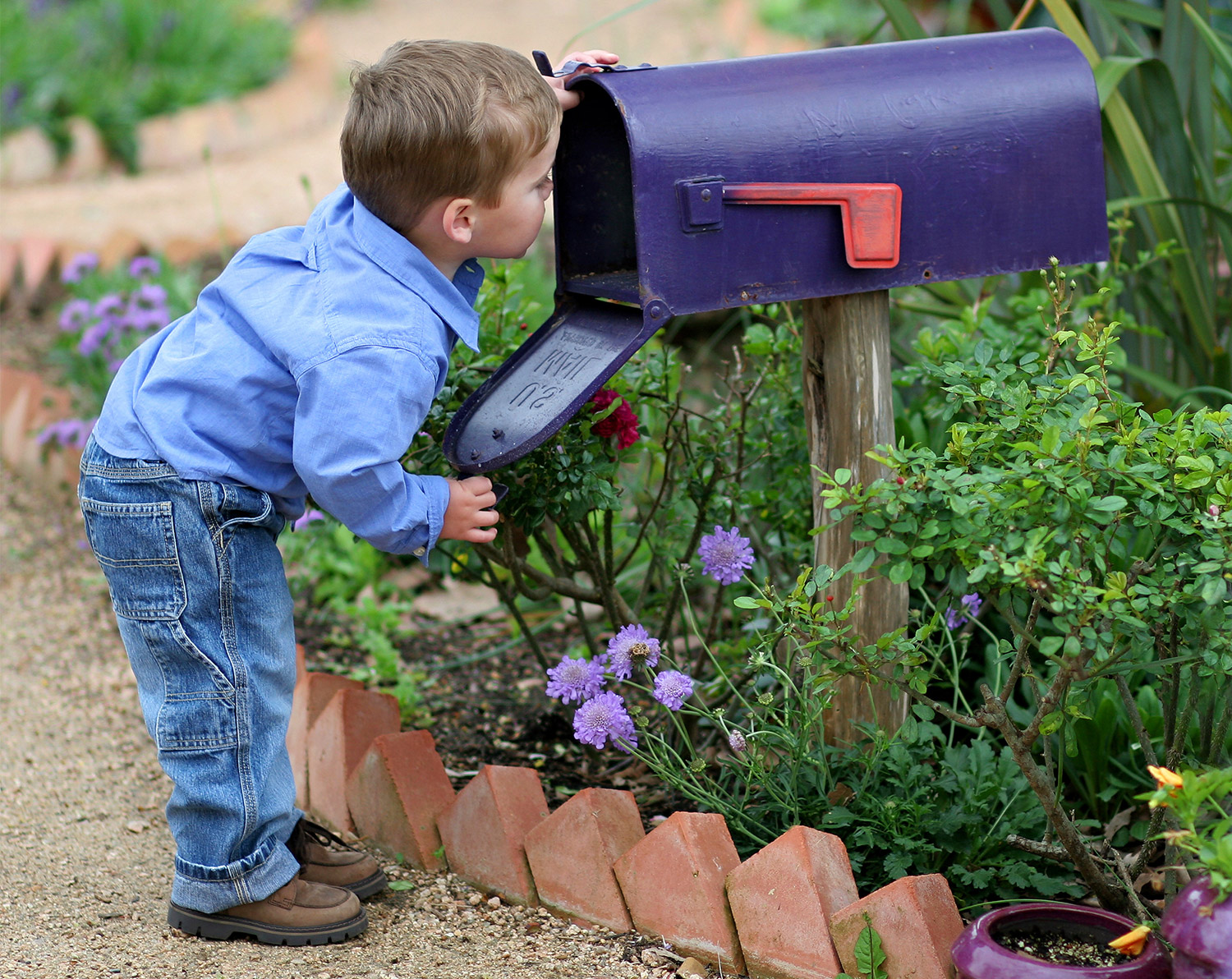 mail birthday traditions checking