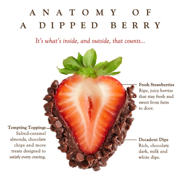 https://www.berries.com/blog/wp content/uploads///Anatomy of A dipped Berry blog