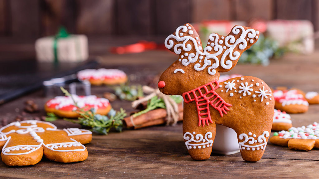 https://www.berries.com/blog/wp content/uploads///gingerbread facts reindeer